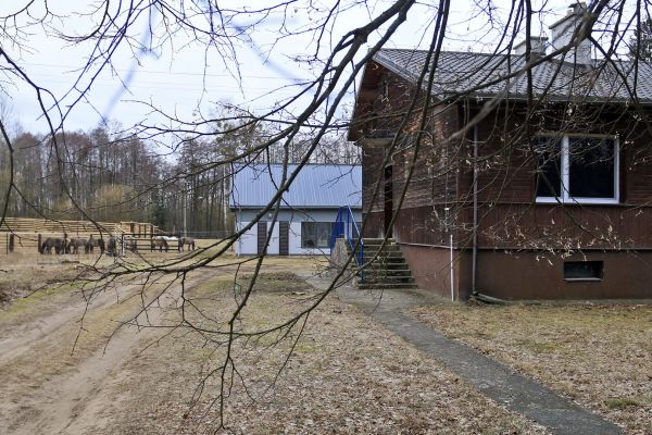 Ośrodek Hodowli Zachowawczej Koników Polskich