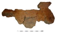 Fragment naczynia z X w.