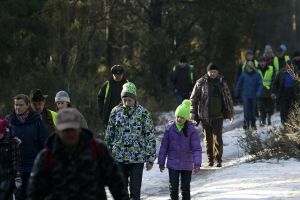 Kilkadziesiąt osób idących lasem sosnowym w zimowej scenerii. Moment rozstawiania na stanowiskach obserwatorów liczenia.