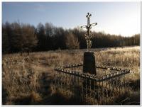 to podłoże przewodzi prąd jak nic - a więc jednak szadź  fot: c. werpachowski
