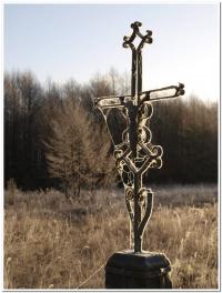 ... a więc jednak szadź  fot: c. werpachowski