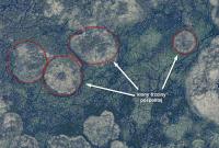 bagna biebrzańskie - obraz satelitarny - wycinek z poprzedniego ujęcia - wysokość punktu widzenia ok. 700m