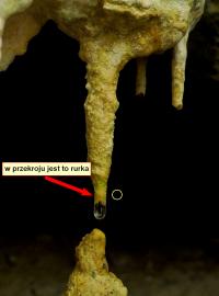 dolna, najmłodsza część stalaktytu to w przekroju delikatna, cienkościenna rurka    fot: c. werpachowski