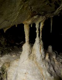 tu mamy prawie wszystkie formy nacieków: stalaktyty, stalagmity, stalagnaty, stożki ... fot: c. werpachowski